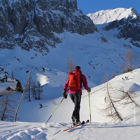 Eine Person in Winterkleidung mit einem roten Rucksack fährt auf einem schneebedeckten Hang Ski. Sie ist abgewandt und blickt auf schneebedeckte Berge und einen klaren blauen Himmel. In der schneebedeckten Landschaft sind verstreut blattlose Bäume zu sehen.