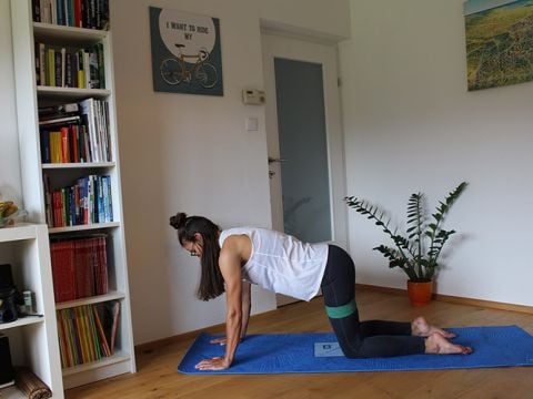Eine Person macht drinnen Yoga auf einer blauen Matte, in einer Pose, die der Katze-Kuh-Dehnung ähnelt. Sie trägt ein weißes Tanktop und schwarze Leggings. Im Raum stehen ein Bücherregal, eine grüne Pflanze, ein Fahrrad als Wandbehang und ein buntes Gemälde an der Wand.