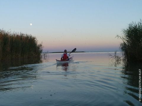 Eine Person in einer roten Schwimmweste fährt bei Sonnenuntergang Kajak auf ruhigem Wasser, umgeben von hohem Schilf. Der Himmel ist in sanfte Farben getaucht und in der Ferne ist ein Mond zu sehen.