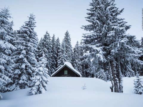 Eine schneebedeckte Holzhütte liegt eingebettet zwischen hohen immergrünen Bäumen in einem Wald. Die umgebende Landschaft ist mit Schnee bedeckt und schafft eine ruhige und malerische Winterszene unter einem klaren, hellblauen Himmel.