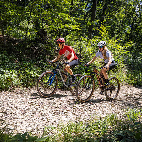 Zwei Radfahrer mit Helmen und Sonnenbrillen fahren mit Mountainbikes auf einem steinigen Waldweg. Die Sonne scheint durch die Bäume und wirft gesprenkeltes Licht auf den Weg. Das üppige Grün umgibt sie und vermittelt ein Gefühl von Abenteuer und Naturerkundung.