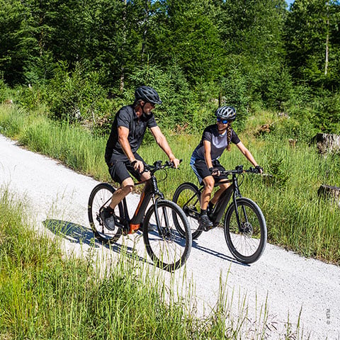 Zwei Personen fahren mit dem Fahrrad auf einem Schotterweg durch einen üppig grünen Wald. Beide tragen Helme und legere Radlerkleidung. Sonnenlicht fällt durch die Bäume und wirft gesprenkelte Schatten auf den Boden.