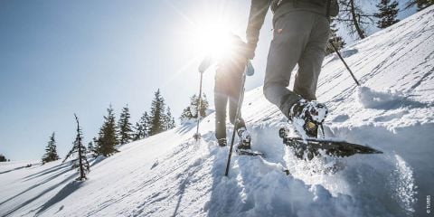 Zwei Personen wandern mit Schneeschuhen und Trekkingstöcken einen verschneiten Hang hinauf. Die Sonne scheint hell und erzeugt ein Linsenreflexionslicht. Im Hintergrund sind schneebedeckte Bäume unter einem strahlend blauen Himmel zu sehen.