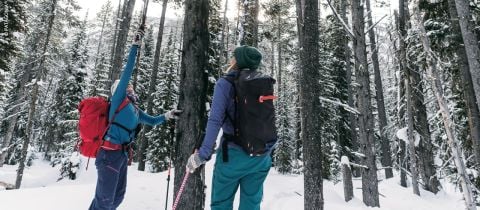 Zwei Personen in Winterkleidung wandern durch einen verschneiten Wald. Eine Person streckt mit einem Stock einen Arm in Richtung eines Baumes aus. Schnee bedeckt den Boden und die Äste, umgeben von hohen Bäumen. Beide tragen Rucksäcke und Handschuhe.