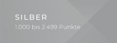 Grauer Hintergrund mit geometrischen Formen. Der weiße Text lautet: „SILBER 1.000 bis 3.999.“.
