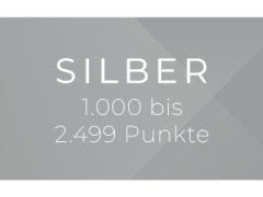 Grauer Hintergrund mit weißem Text „SILBER 1.000 bis 3.999.