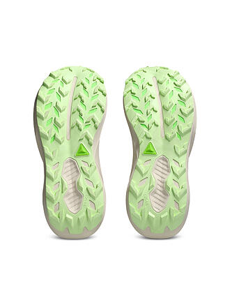 ASICS | Damen Traillaufschuhe Trabuco 14