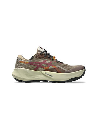 ASICS | Herren Traillaufschuhe Trabuco 14 GTX