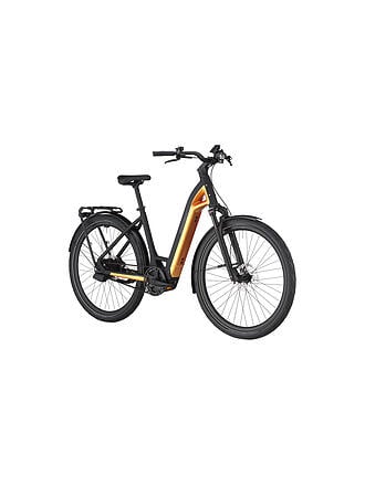 BERGAMONT | Damen E-Bike E-Ville 10 Belt