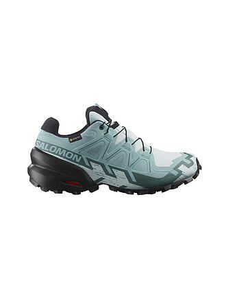SALOMON | Damen Traillaufschuhe Speedcross 6 GORE-TEX